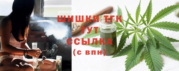 сатива Заволжье