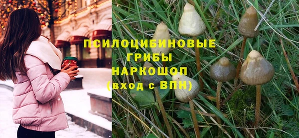 сатива Заволжье