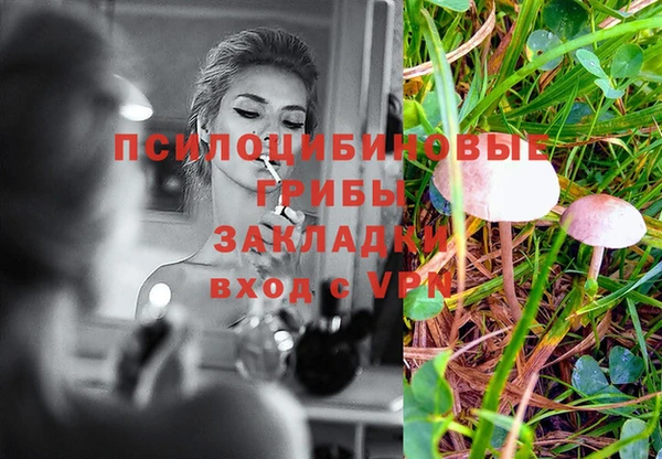 эйфоретик Заволжск