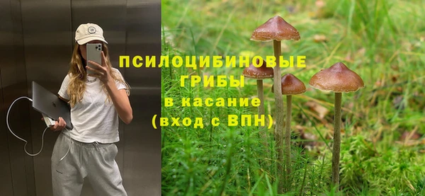 мдма Заводоуковск