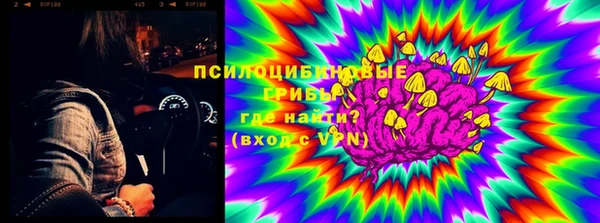 сатива Заволжье